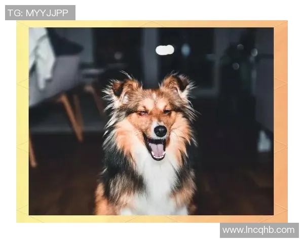 世界足球球星与爱犬亲密合照排名揭晓 前十名最宠爱犬种曝光 世界足球球星与爱犬亲密合照排名揭晓 前十名最宠爱犬种曝光